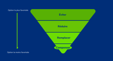 Carbon Hierachy Graphic FR Carbon Hierachy Graphic FR