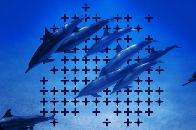 Partnerships with NGOs for marine conservation - Sustainable virtual events - MEETYOO Partnerships with NGOs for marine conservation - Sustainable virtual events - MEETYOO