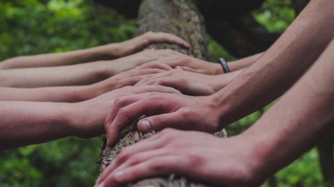 Hands on a tree in nature as a symbol for inclusivity Hands on a tree in nature as a symbol for inclusivity