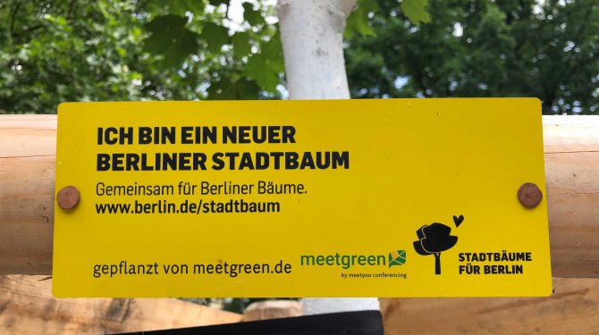 Stadtbaumkampagne von meetgreen für unsere Umwelt Stadtbaumkampagne von meetgreen für unsere Umwelt